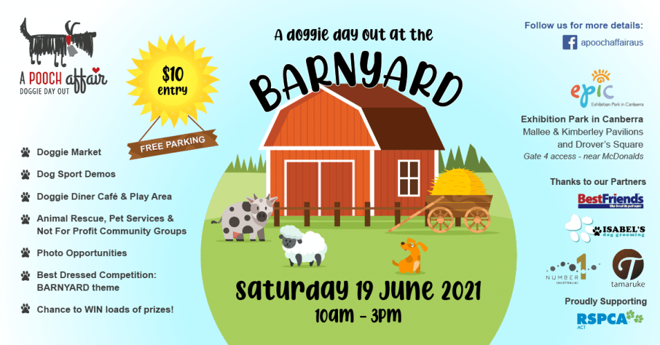 A Doggie Day Out at the Barnyard WITH PARTNERS