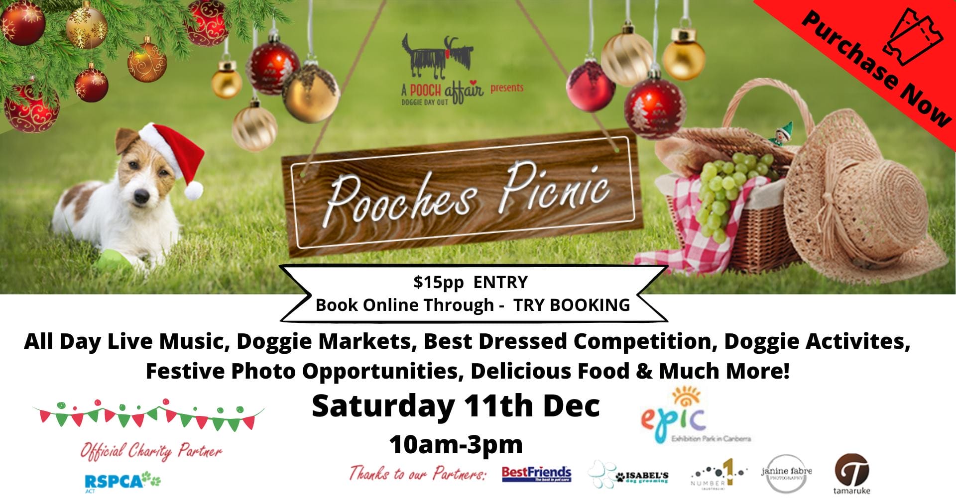 Pooch affair xmas